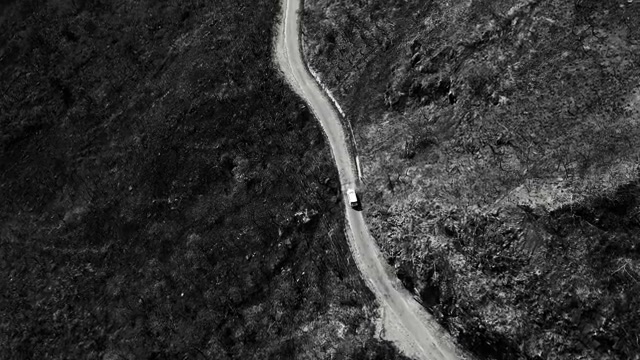 B&W High Contrast LUT preview